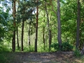 w45.jpg