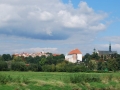 s40.jpg